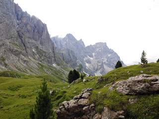 le spettacolari cime dolomitiche in estate, tra rocce e verdi vallate