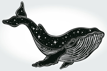 Beautiful hand-drawn artwork of whale . Tattoo art, graphic, t-shirt design, postcard, poster design, coloring books,spirituality. Vector illustration. © Tania