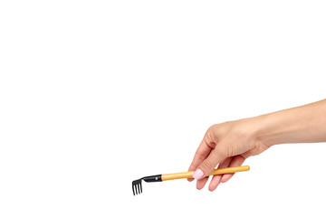 Hand with little rake, wooden handle, decorative tool.