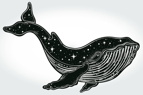 Beautiful hand-drawn artwork of whale . Tattoo art, graphic, t-shirt design, postcard, poster design, coloring books,spirituality. Vector illustration.
