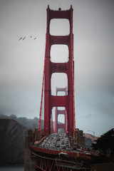 Golden Gate Mood
