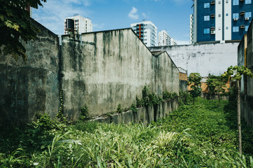 Fototapeta na wymiar abandoned green space between two inner-city buildings in Belém, Brazil