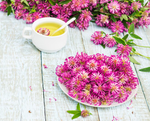 Obraz na płótnie Canvas Traditional Herbal Tea of Red Clover Flowers (Trifolium pratense). Fresh Clover Flower Tea in a white cup. Purple Wildflowers bouquet on a wooden rustic table. Phytotherapy Medicinal Herbs 