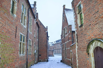 Road with lovely Houses with Snow