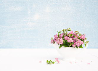 Pink flowers. Bouquet of Spiraea japonica flowers. Greeting for Birthday or Holiday. Copy space 