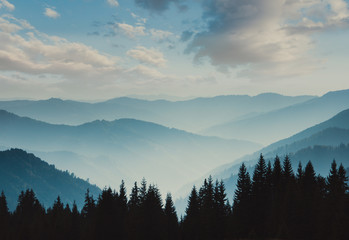 Landscape of misty mountains. View of coniferous forest, layers of mountain and haze in the hills...