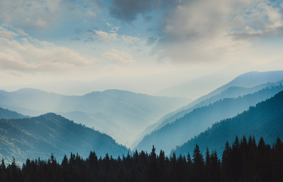 Landscape of misty mountains. View of coniferous forest, layers of mountain and haze in the hills at distance. Beautiful cloudy sky. Tourism and travelling.