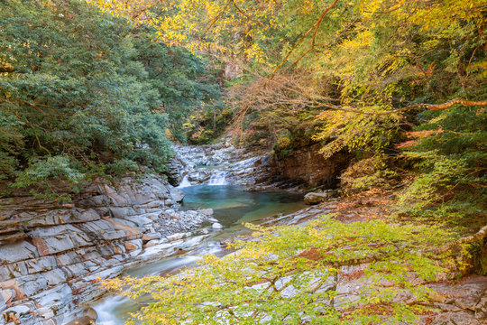 面河渓 Images Browse 407 Stock Photos Vectors And Video Adobe Stock