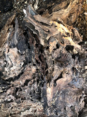Old rotten wood texture background. Old damaged background texture with dirt and scratches. Old wooden texture close up. Abstract background.