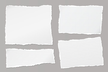 Set of torn white, lined and squared note, notebook paper pieces stuck on grey background. Vector illustration