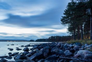landscape with river and trees