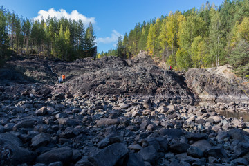 rocks on forest