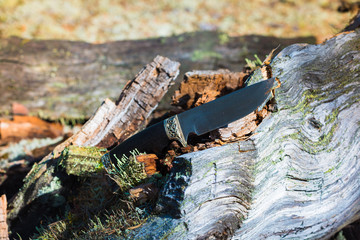 Army knife for protection on fallen tree in the forest.