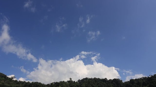 Time lapse video of clouds forming in sjy above rainforest 