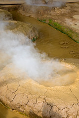別府温泉地獄めぐり（大分県）