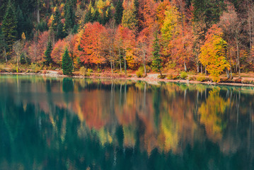 Fall colour reflected in the still waters of Alpsee Lake, district of Bavaria, Germany. It is close to the Neuschwanstein and Hohenschwangau castles. Unique destination to see autumn leaves.