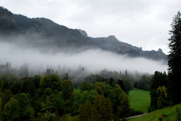 Le brouillard dans les montagne 
