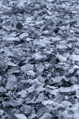 The leaves fall, the colors of autumn fall