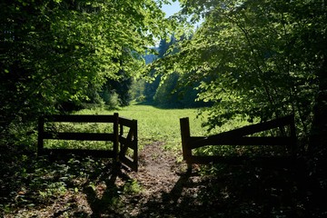 Gatter und Wiese an einem Wanderweg bei Friedrichsroda im Thüringer Wald © Heiko 