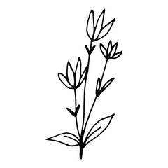 Hand drawn creative flower.  White background. Ink doodle illustration. Hand-drawn vintage, minimalistic black flower. Beautiful vector illustration.