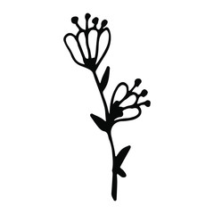 Hand drawn creative flower.  White background. Ink doodle illustration. Hand-drawn vintage, minimalistic black flower. Beautiful vector illustration.