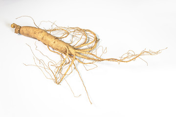 Changbai Mountain ginseng in white background