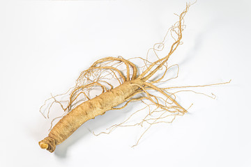 Changbai Mountain ginseng in white background