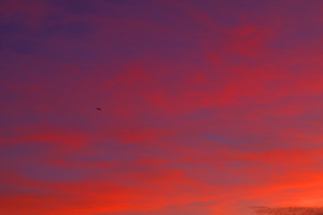 jet,sky, sunset, clouds, cloud, nature, orange, red, cloudscape, light, evening, 