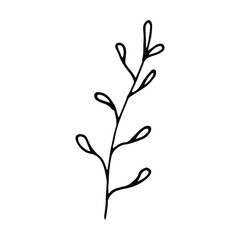 Hand drawn creative flower.  White background. Ink doodle illustration. Hand-drawn vintage, minimalistic black flower. Beautiful vector illustration.