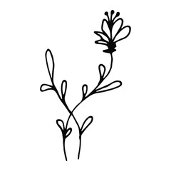 Obraz premium Hand drawn creative flower. White background. Ink doodle illustration. Hand-drawn vintage, minimalistic black flower. Beautiful vector illustration.