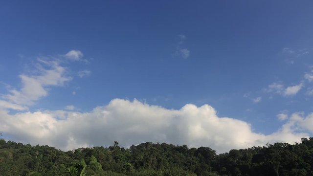 Time lapse video of clouds forming in sjy above rainforest 
