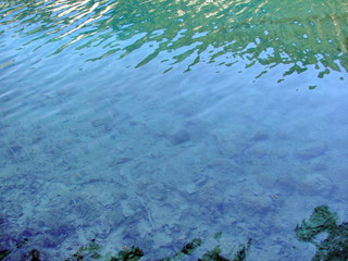 Panorama of a clear, transparent surface of a mountain lake, through which water you can see the bottom covered with plants and old trees.