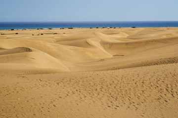 Sandberge von der Sahara - Dünenlandschaft am Strand von Gran Canaria
