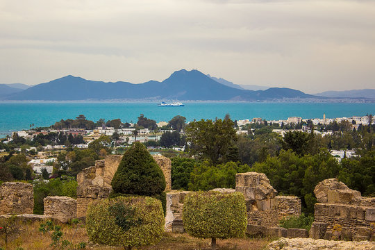 รูปภาพByrsa เลือกดูภาพถ่ายสต็อก เวกเตอร์ และวิดีโอ317 Adobe Stock