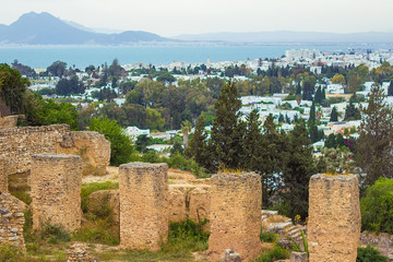 Fototapeta na wymiar Panoramic view on the capital of Tunisia - Tunis city from Byrsa hill, white buildings and green trees