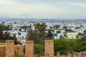 Naklejka premium Panoramic view on the capital of Tunisia - Tunis city from Byrsa hill, white buildings and green trees