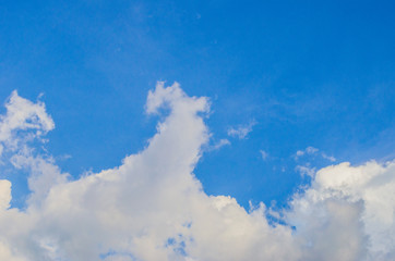 Fototapeta premium Blue sky and white clouds