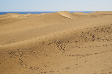 Fototapeta na wymiar Sandberge von der Sahara - Dünenlandschaft am Strand von Gran Canaria