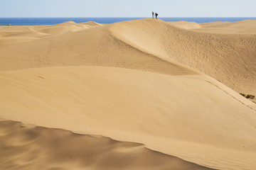 Sandberge von der Sahara - Dünenlandschaft am Strand von Gran Canaria