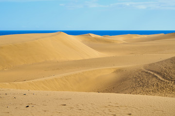 Sandberge von der Sahara - Dünenlandschaft am Strand von Gran Canaria