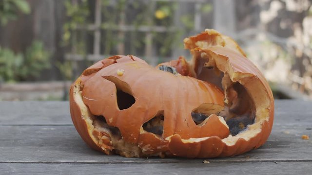 Slow motion close-up of a smashed jack-o-lantern being pulverized with a hammer.