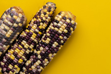 top view of the multicolored black and yellow mix raw indian corn