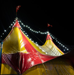 the colorful circus tent in the city at night against the sky