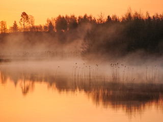 Sunrise landscape at the water, trees reflection in the lake on foggy morning, early morning reeds mist fog and water surface on the lake       