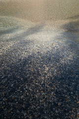 A graphic of the lake shore