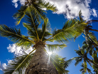 Obraz premium DCIM\100GOPRO\GOPR3024.