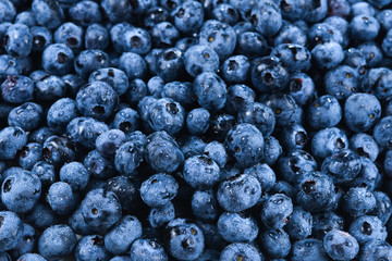 Fresh blueberry background. Texture blueberry berries close up.