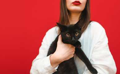 Closeup photo of a black small cat in the hands of the owner on a red foin, pet looking into the camera. Woman holding a cat in her arms, closeup photo. Focus on the cat.