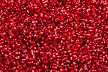 Christmas decoration, red ball isolated on white background.