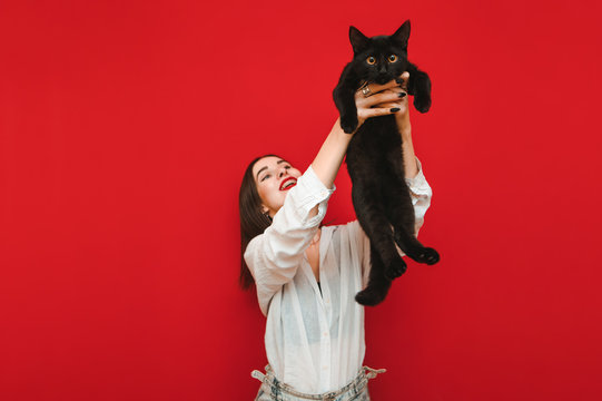Happy girl holds a frightened black cat in her hands and lifts it up, she plays with it, the pet looks into the camera. Owner plays with a cat on a red background. Isolated on red background.